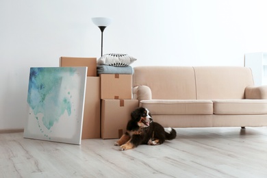 Photo of Cute puppy near moving boxes in living room