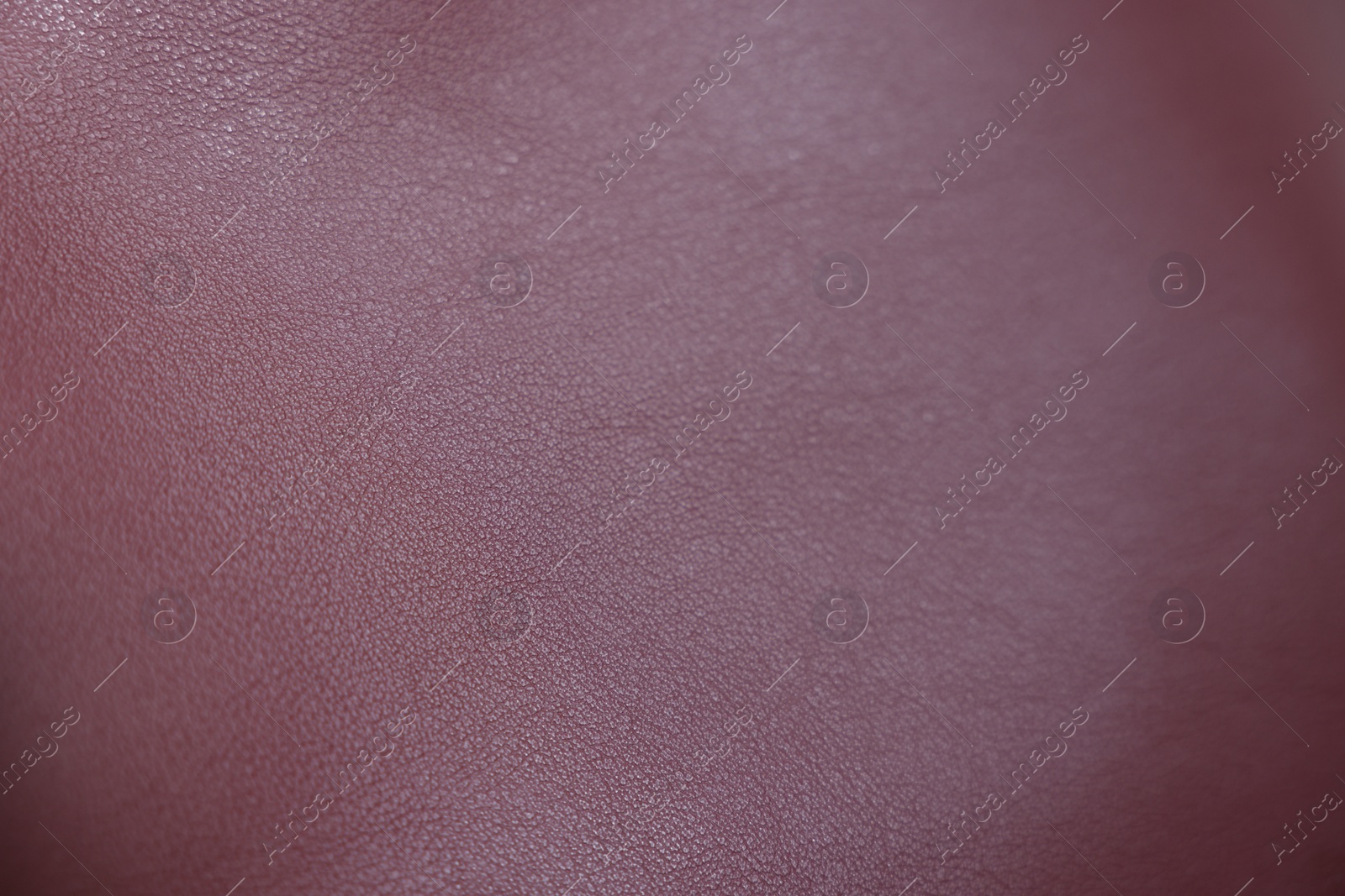 Photo of Texture of leather as background, closeup view