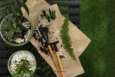 Houseplants and gardening tools on grass, flat lay
