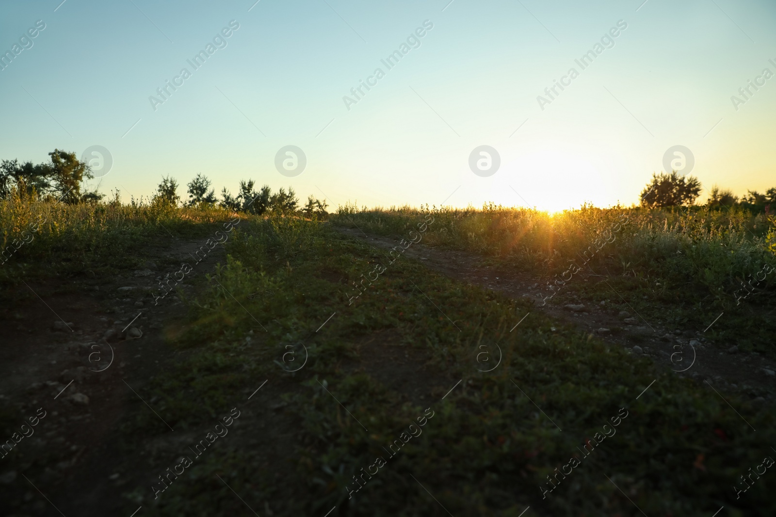 Photo of Beautiful field at sunrise. Early morning landscape