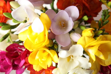 Photo of Bouquet of beautiful spring freesia flowers, closeup