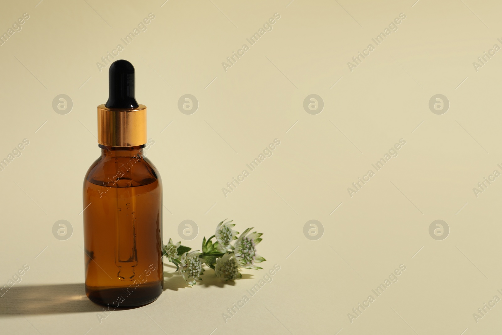 Photo of Bottle with cosmetic oil and flower on beige background, space for text