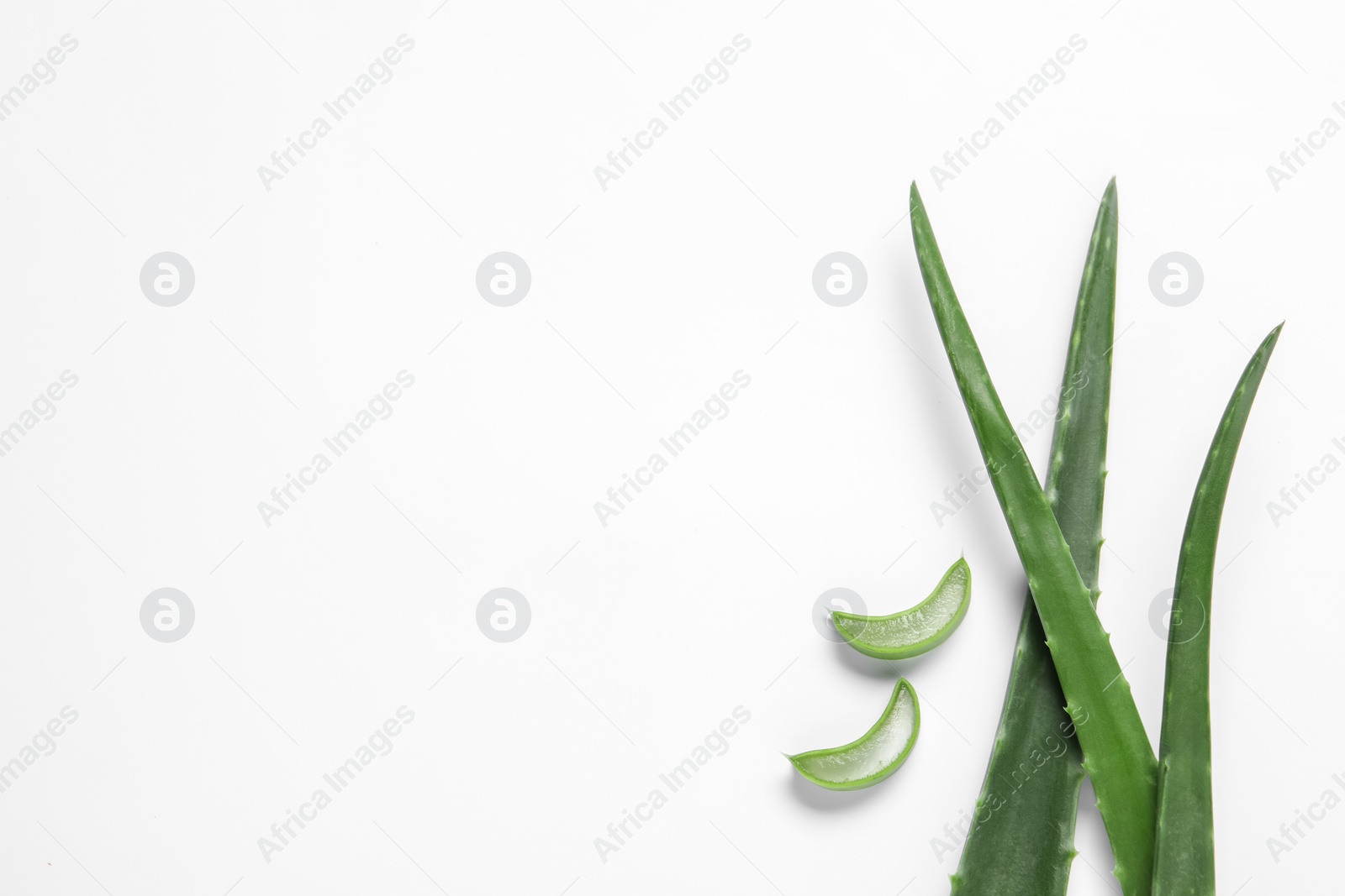 Photo of Cut aloe vera leaves on white background, flat lay. Space for text