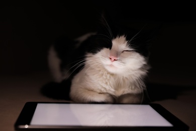 Photo of Cute cat sleeping near tablet on couch at home