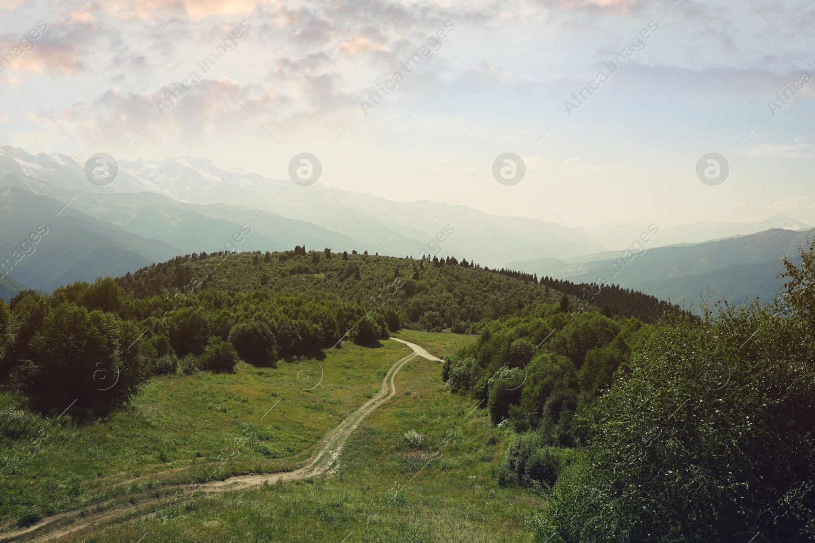 Photo of Picturesque view of gravel road and forest in mountains