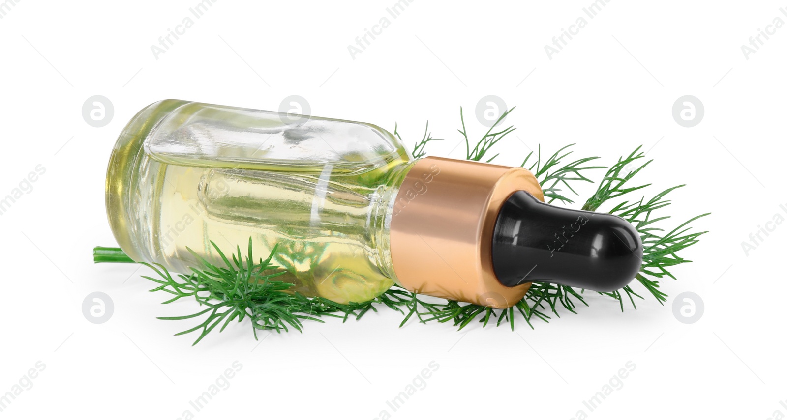 Photo of Bottle of essential oil and fresh dill isolated on white