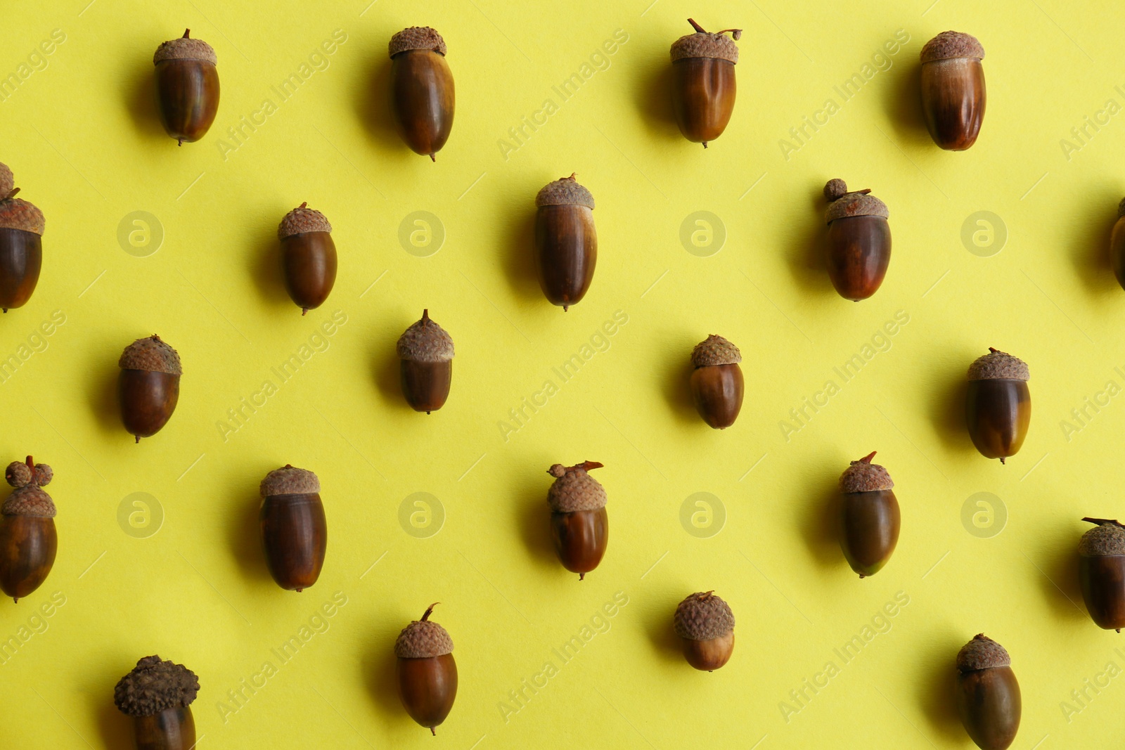 Photo of Many acorns on yellow background, flat lay