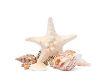 Photo of Beautiful sea star and seashells on white background