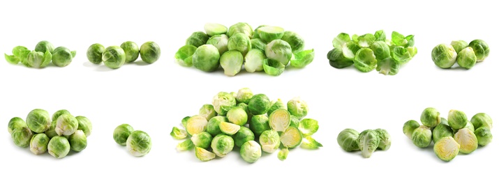 Image of Set of fresh Brussels sprouts on white background. Banner design