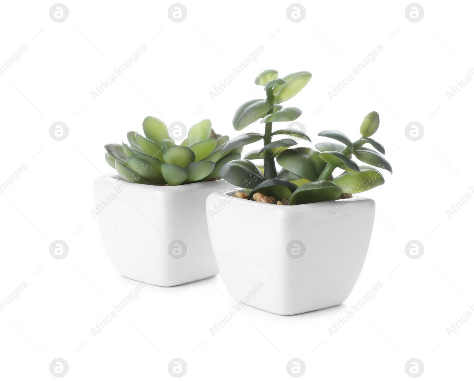 Photo of Beautiful artificial plants in flower pots isolated on white