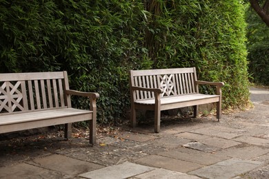 Stylish wooden benches and green plants in beautiful garden