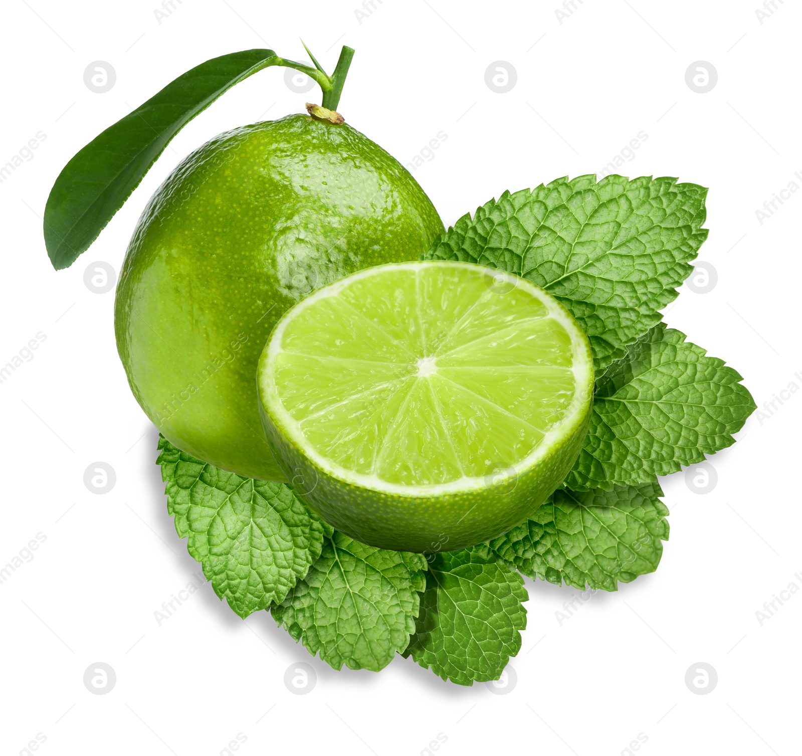 Image of Fresh ripe limes and green mint leaves isolated on white