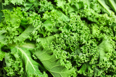 Photo of Fresh green kale leaves as background, closeup