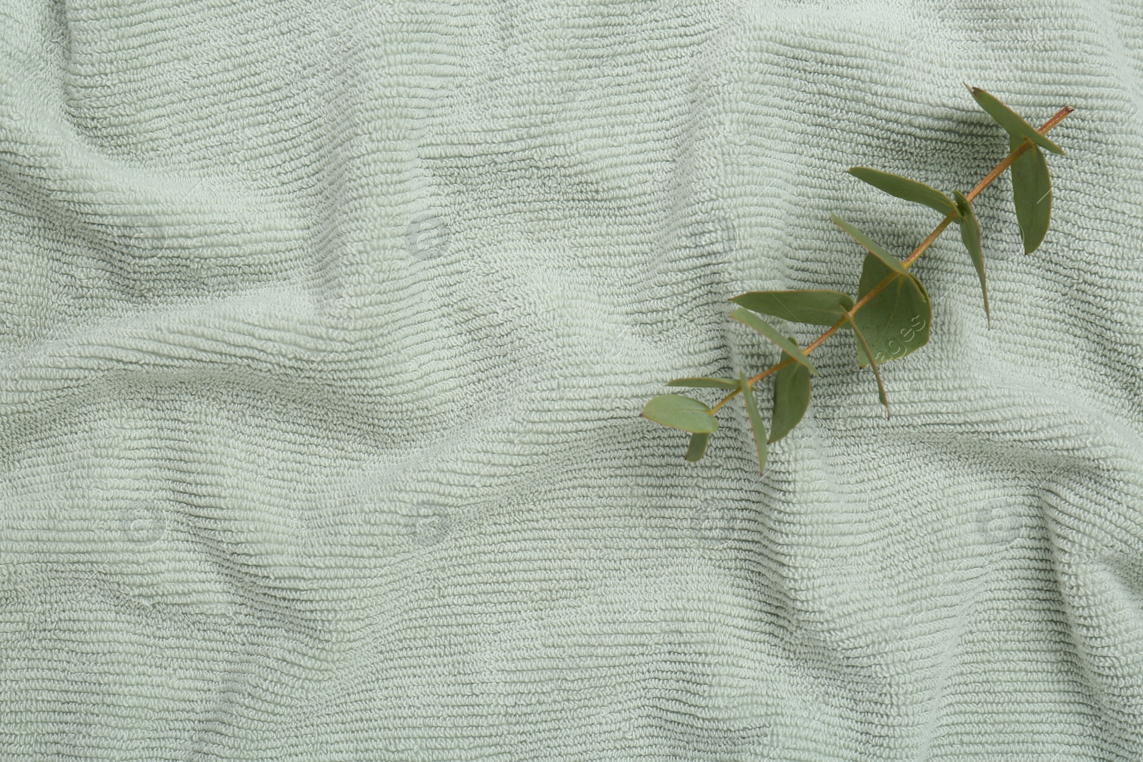 Photo of Eucalyptus branch on soft towel, top view. Space for text