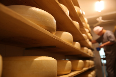 Photo of Fresh cheese heads in factory warehouse and blurred worker on background