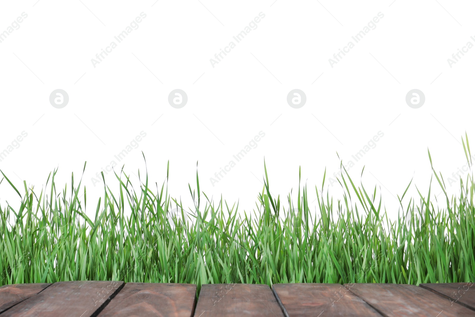 Photo of Wooden deck and green grass isolated on white