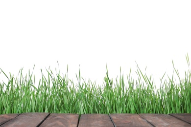 Wooden deck and green grass isolated on white