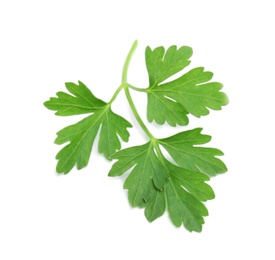 Leaves of fresh tasty parsley on white background