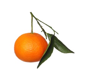 One fresh tangerine with green leaves isolated on white