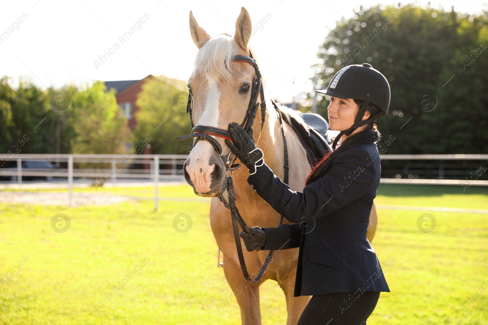 Photo of Young woman in horse riding suit and her beautiful pet outdoors on sunny day