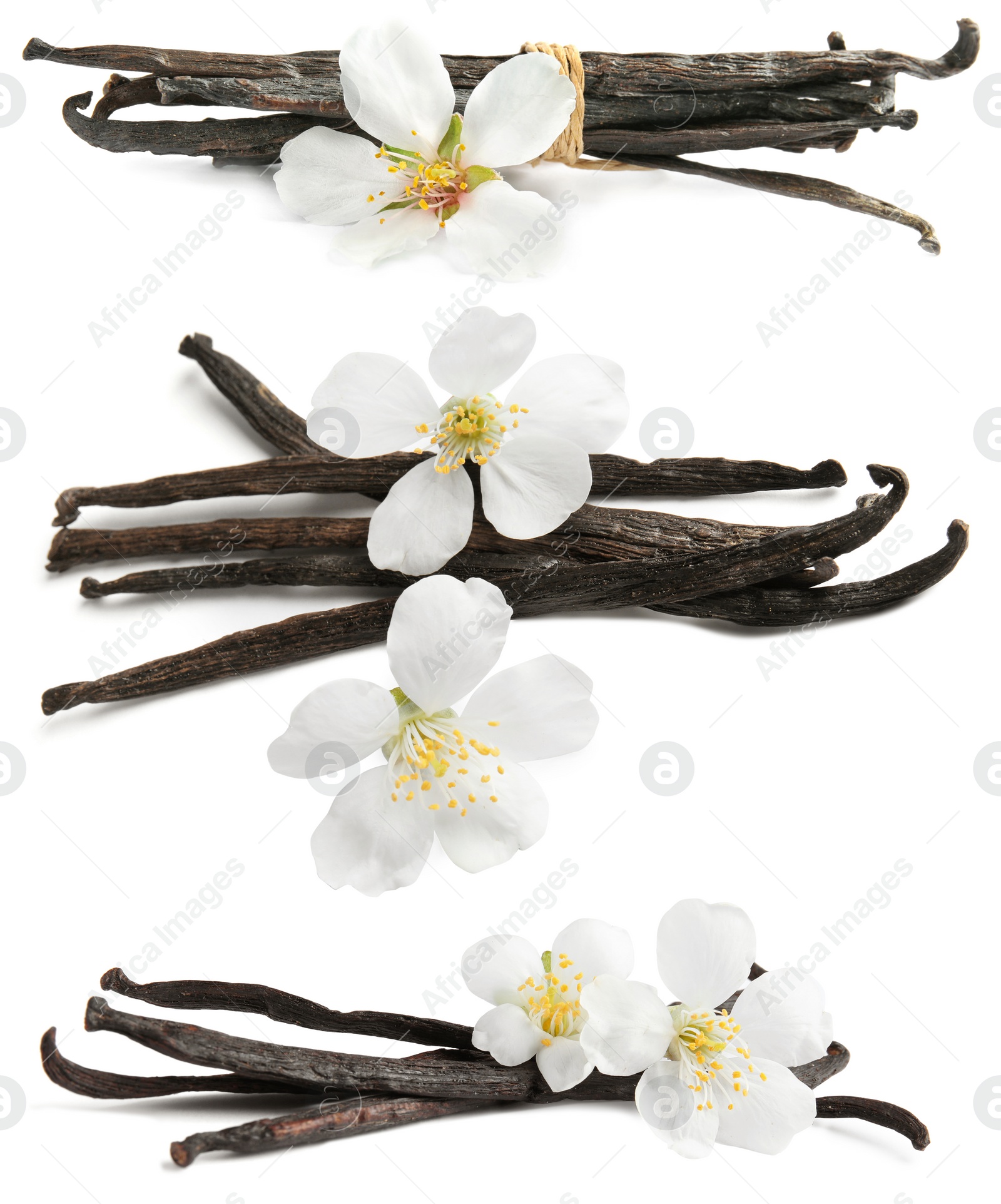 Image of Set with aromatic vanilla pods and flowers on white background