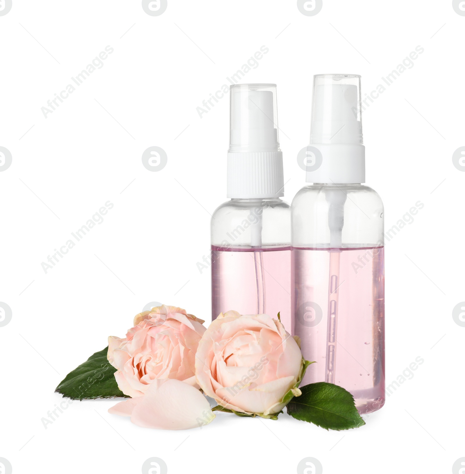 Photo of Bottles of essential oil and roses on white background