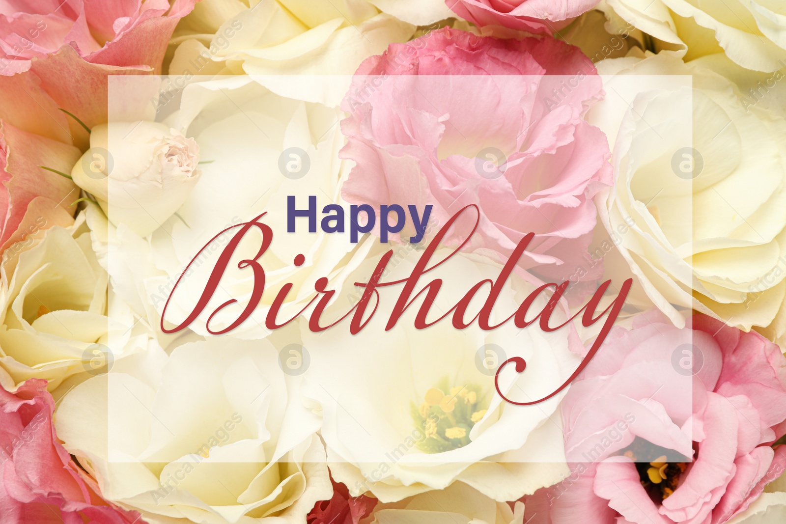 Image of Happy Birthday! Beautiful eustoma flowers as background, closeup