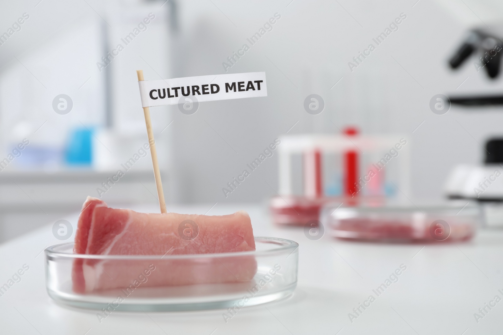 Photo of Petri dish with sample of lab grown pork labeled Cultured Meat on white table in laboratory. Space for text
