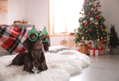 Cute dog wearing Christmas eyeglasses at home, space for text