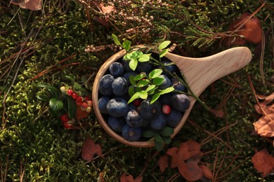 Wooden mug full of fresh ripe blueberries and lingonberries on green grass, top view