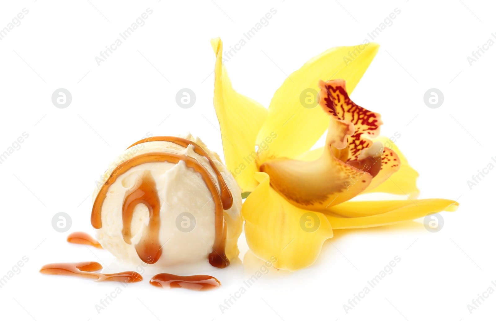 Photo of Ball of tasty vanilla ice cream and flower on white background