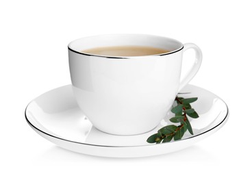 Photo of Cup of green tea with eucalyptus leaves on white background