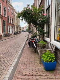 Beautiful view of city street with bicycles and pink rose bush