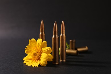 Photo of Bullets and beautiful flower on black background