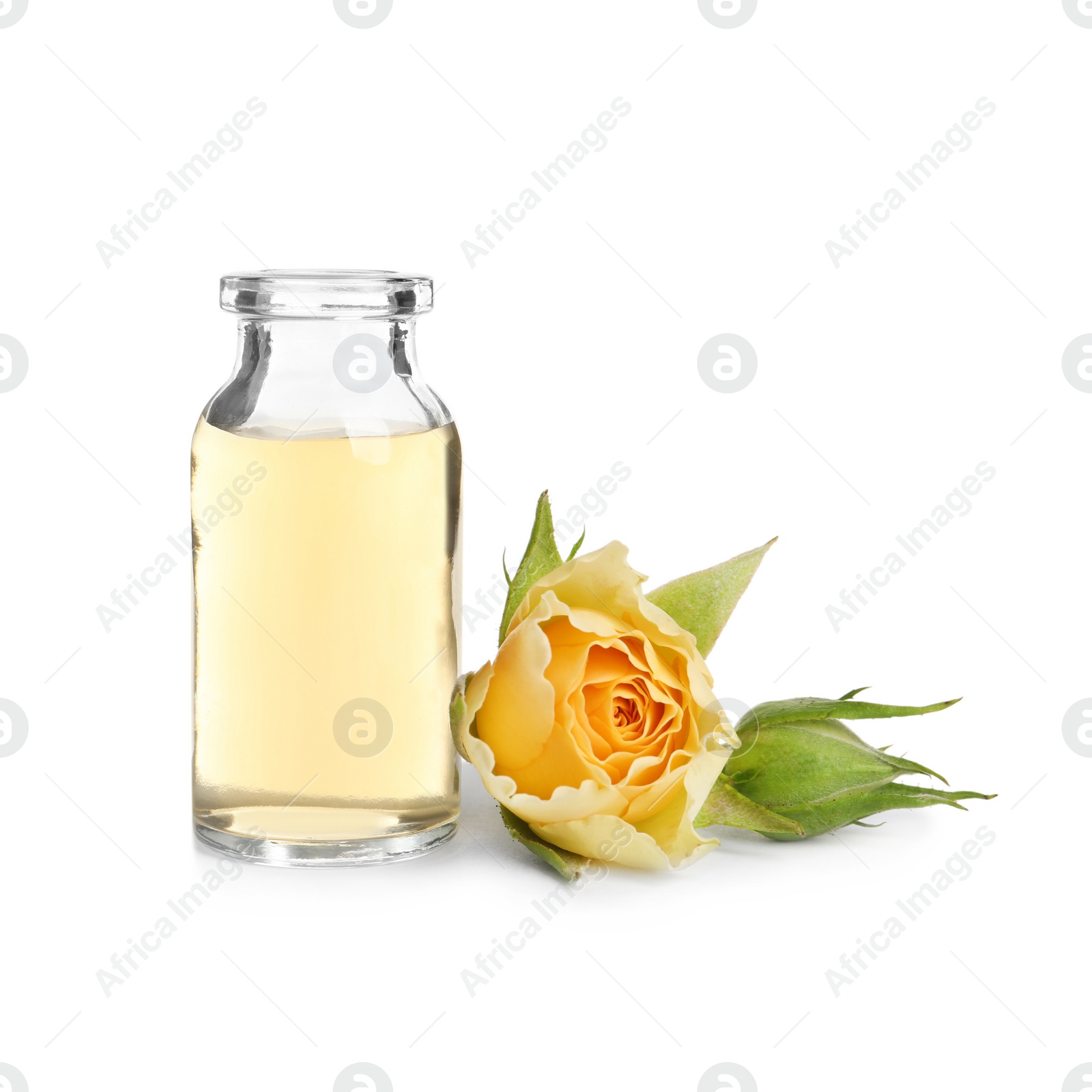 Photo of Bottle of rose essential oil and flower isolated on white