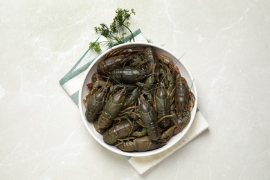 Fresh raw crayfishes and dill on marble table, flat lay
