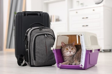 Photo of Travel with pet. Cute cat in carrier, backpack and suitcase at home