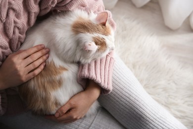 Photo of Woman with cute fluffy cat indoors, closeup