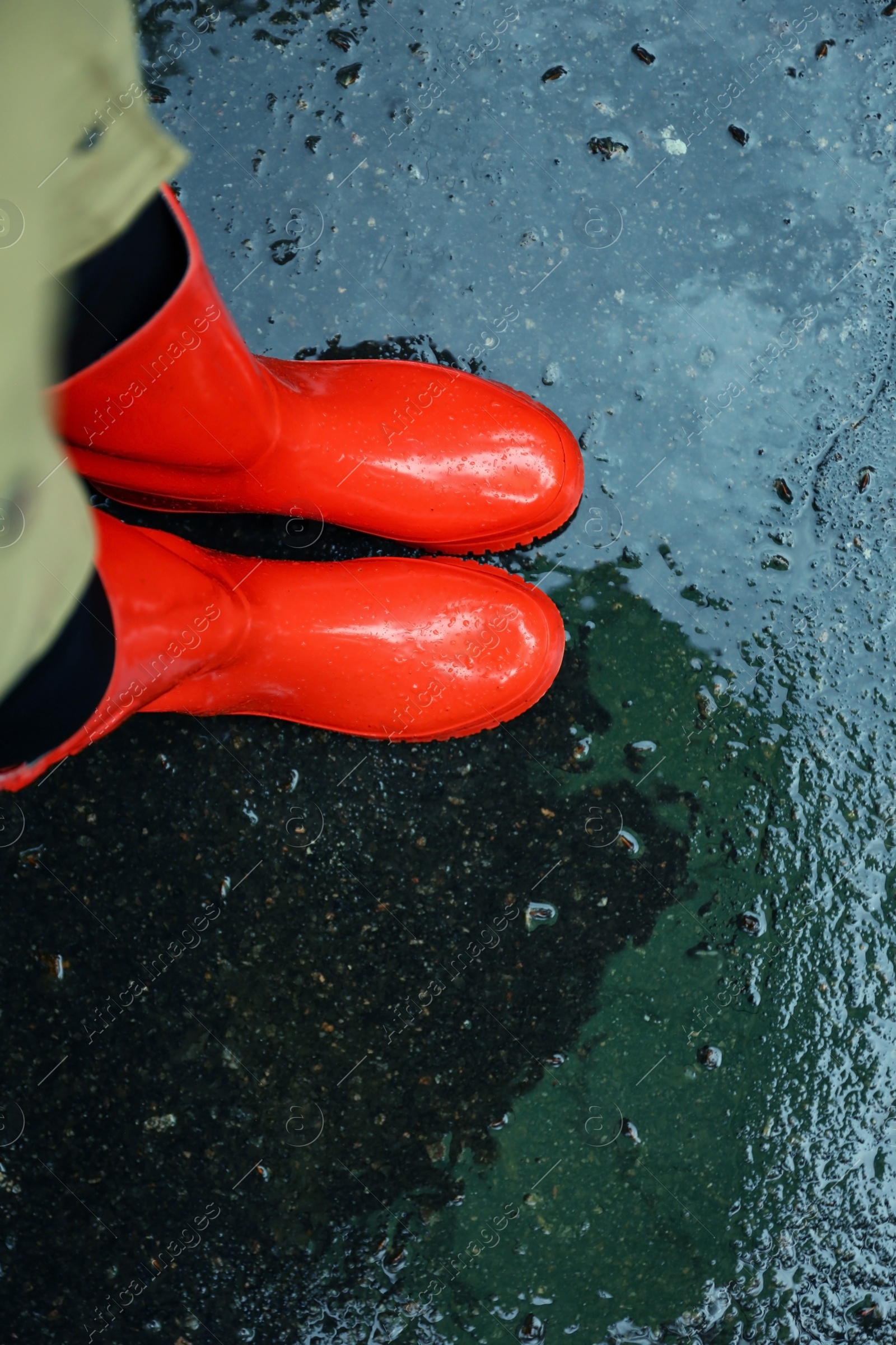 Photo of Woman wearing red rubber boots on rainy day, above view