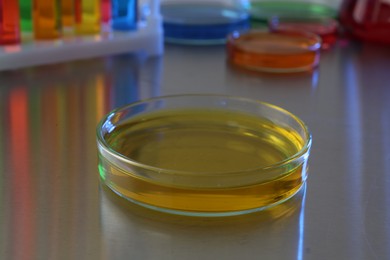 Photo of Petri dish with yellow liquid on grey table in laboratory