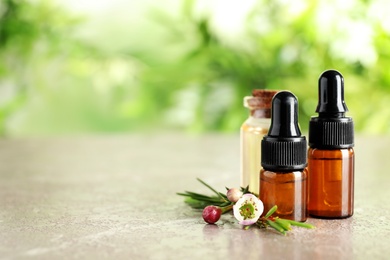 Photo of Bottles of natural tea tree oil and plant on table against blurred background, space for text