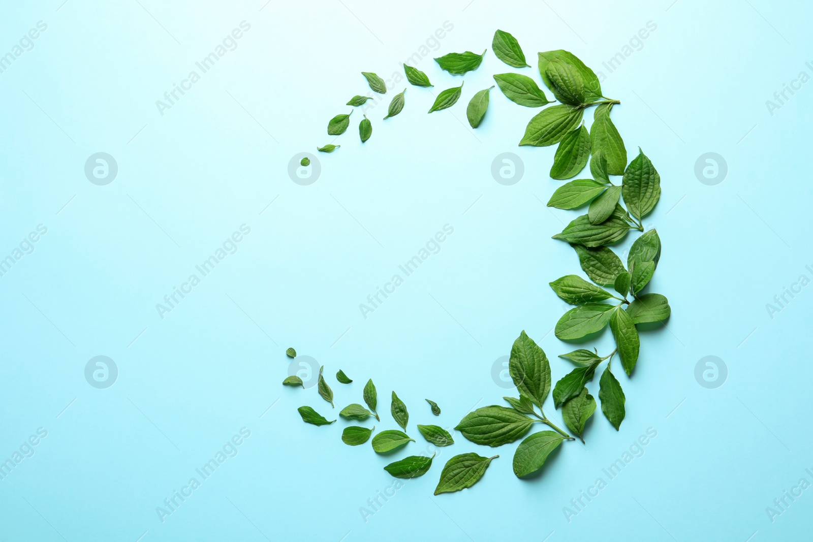 Photo of Flat lay composition with green leaves on color background. Space for text