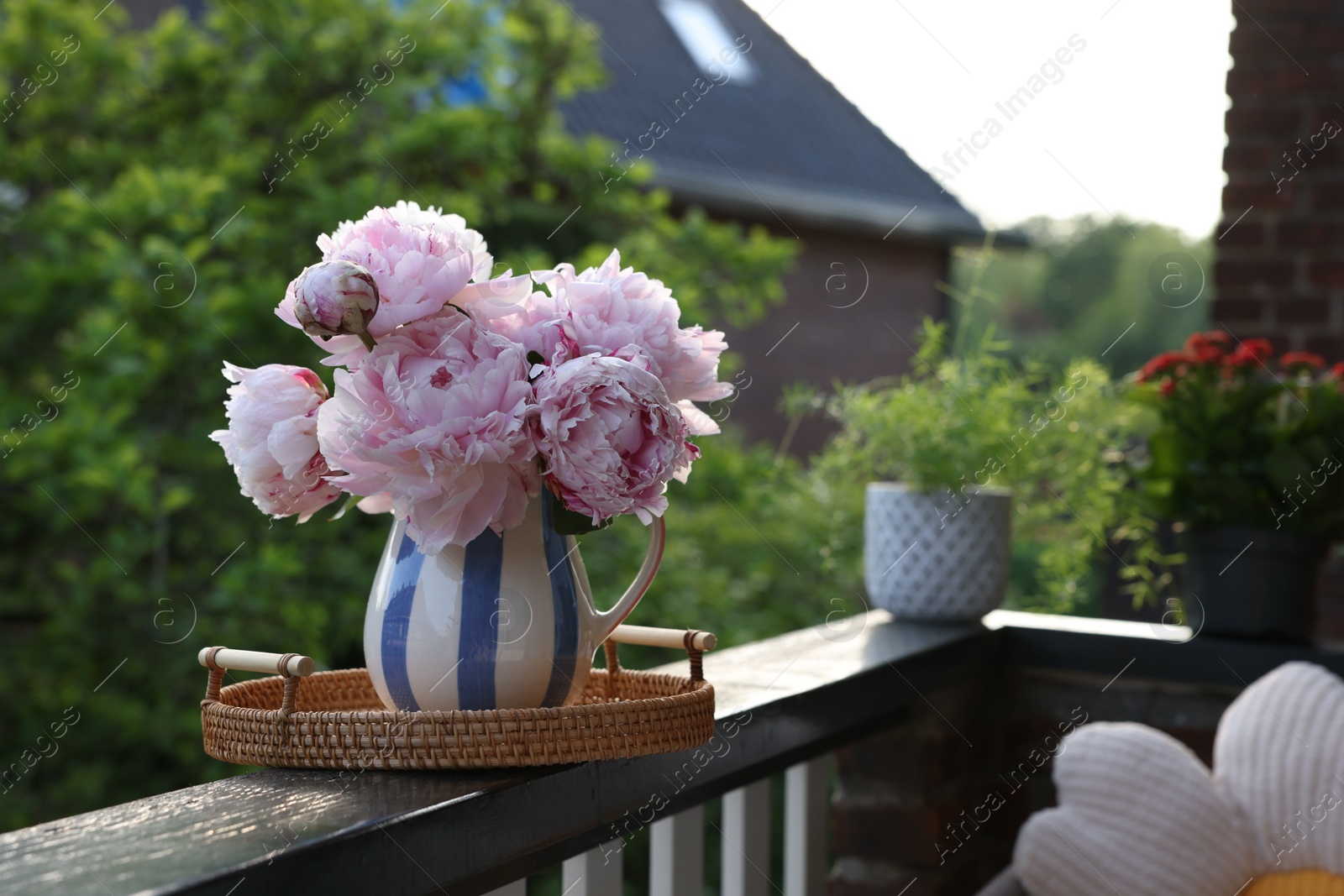 Photo of Beautiful pink peony flowers in vase on balcony railing outdoors