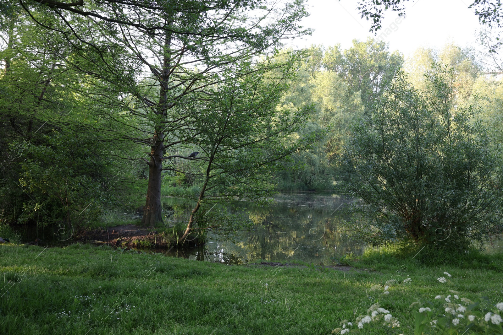 Photo of Picturesque view of green park with river outdoors