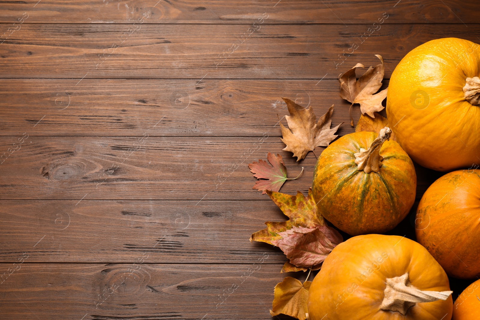 Photo of Flat lay composition with different ripe pumpkins on wooden background, space for text. Holiday decoration