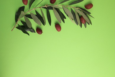 Photo of Fresh olives and leaves on light green background, flat lay. Space for text