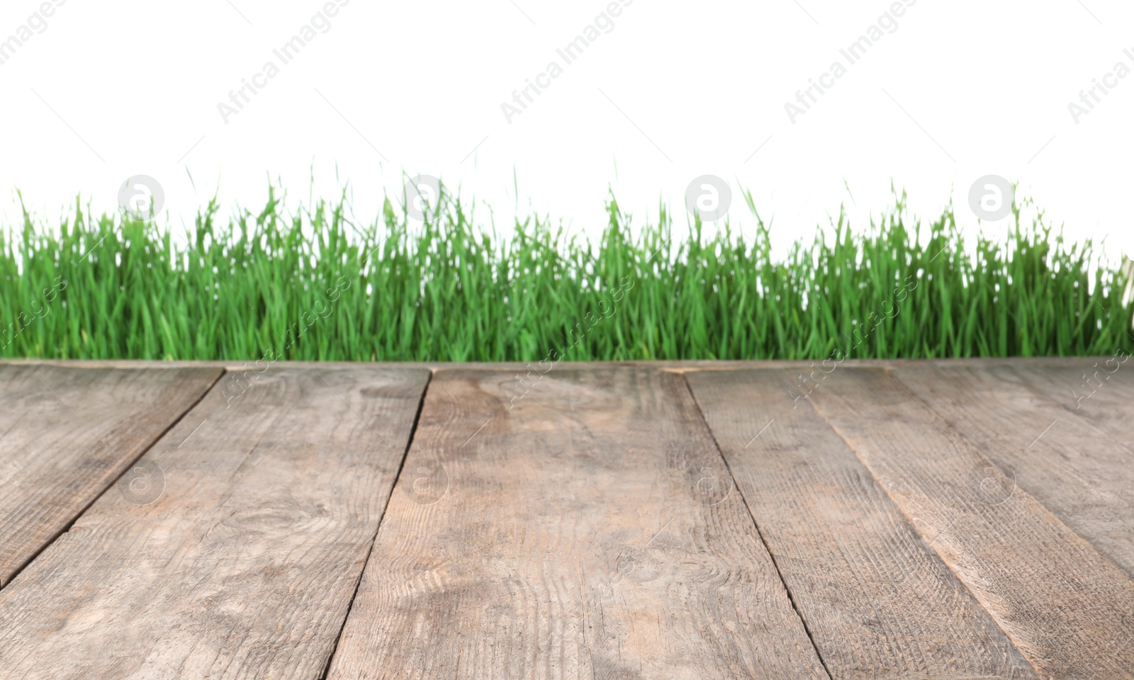 Photo of Wooden deck and green grass isolated on white