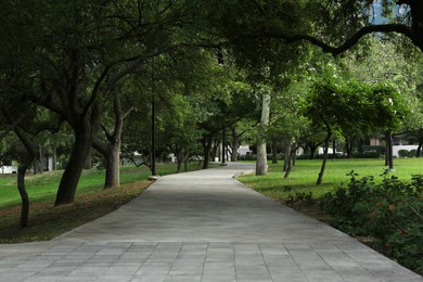 Photo of Beautiful view of green park with pathway