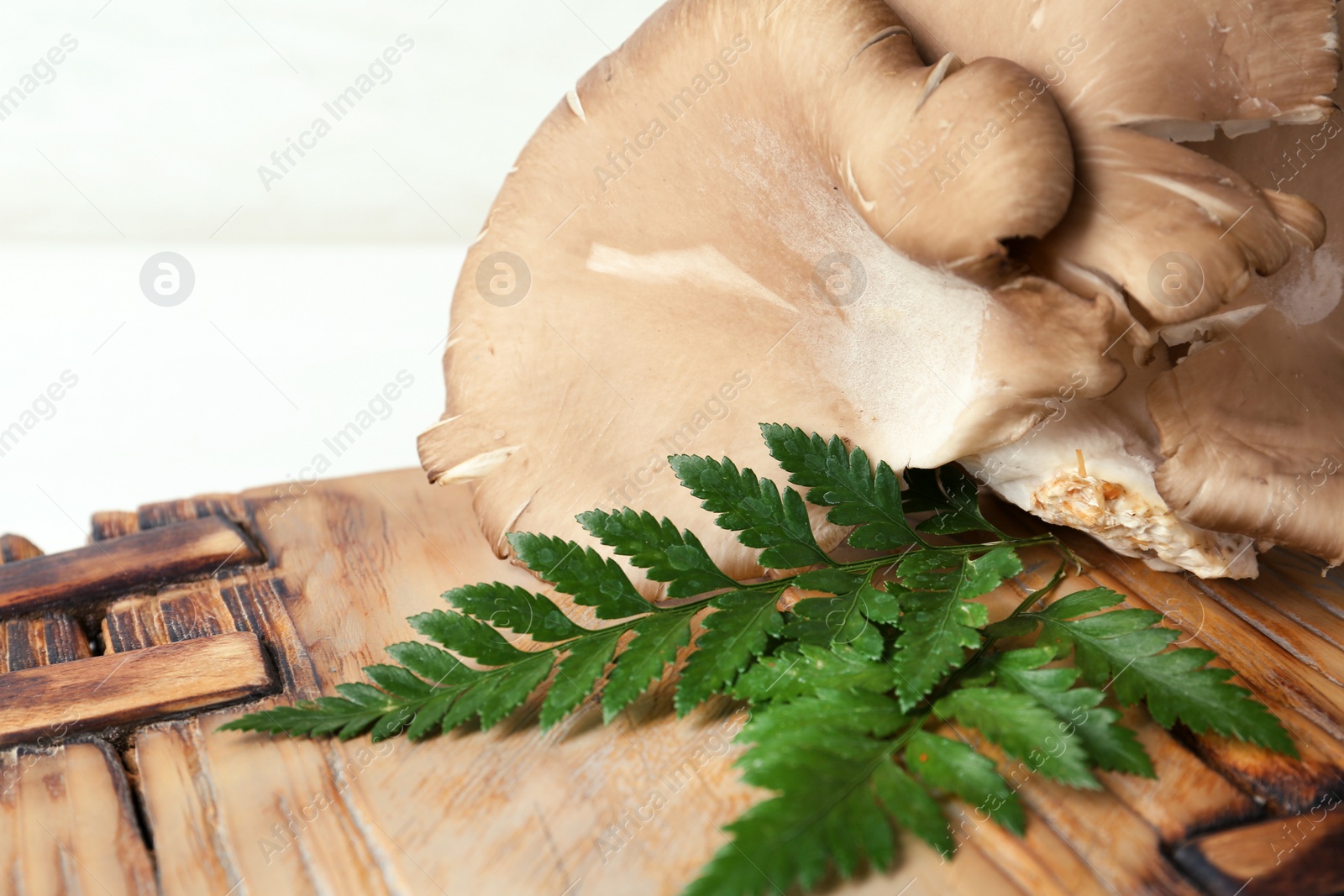 Photo of Delicious organic oyster mushrooms with leaves on wooden board, closeup. Space for text