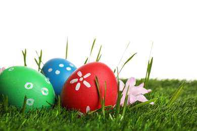 Photo of Colorful Easter eggs in green grass and flower on white background, closeup